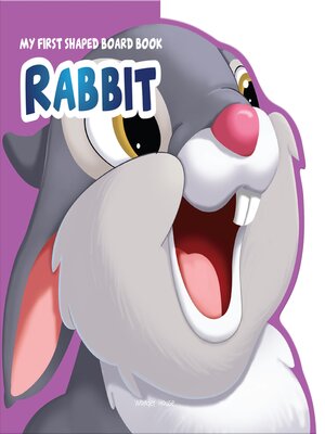 cover image of Rabbit